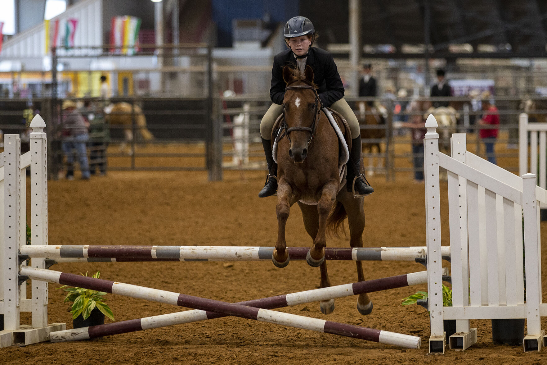 4-H horse show